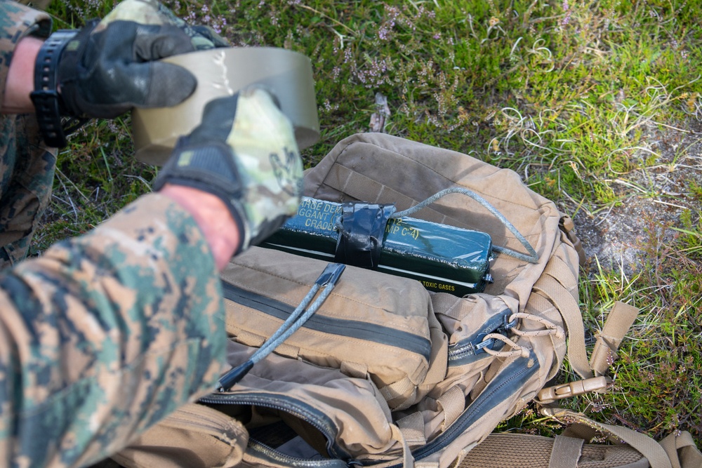 22nd MEU BLT CRUSHes live-fire exercise in Jægerspris, Denmark