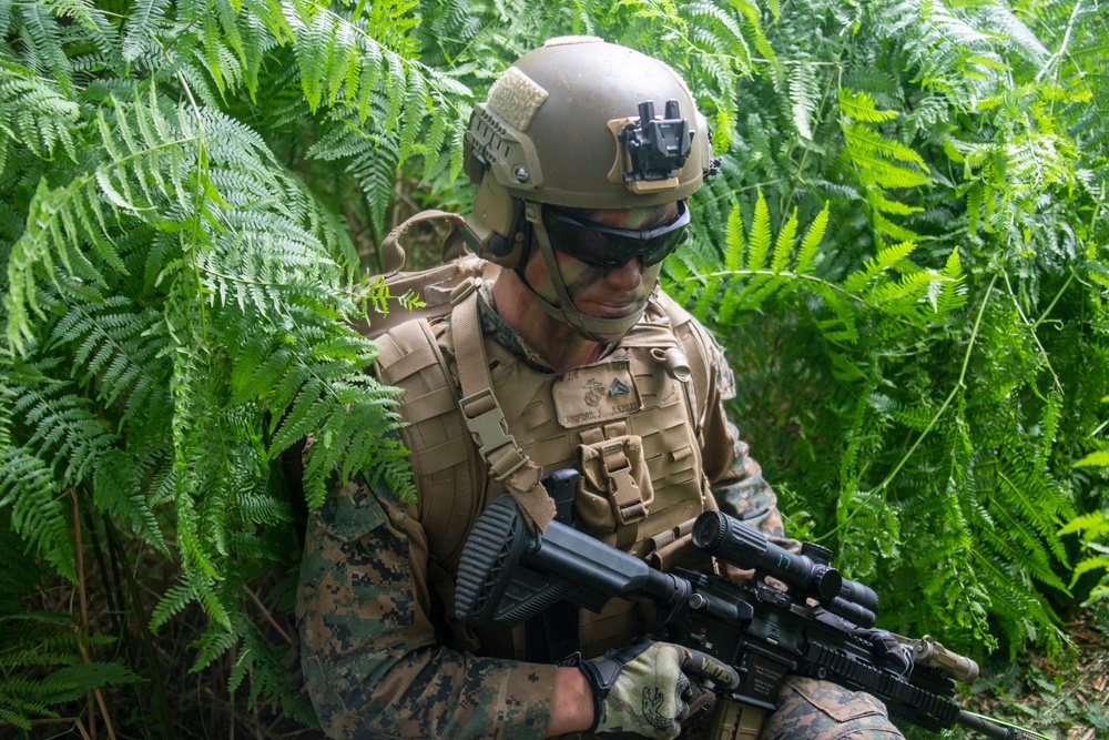 22nd MEU BLT CRUSHes live-fire exercise in Jægerspris, Denmark