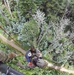 Tennessee National Guard aircrew rescues hiker