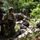 A group of soldiers in U.S. Army multicam camouflage uniforms are conducting what appears to be a combat casualty care training exercise in a wooded area. Multiple personnel are attending to simulated casualties on the ground while one soldier appears to be taking notes or filling out documentation. The setting, equipment, and coordinated actions suggest a field medical training scenario.