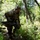 A soldier in full camouflage gear moves through dense woodland terrain in a crouched, tactical posture. The individual is equipped with a rifle, tactical vest, backpack, and a camouflaged helmet cover. The setting appears to be a military training exercise or field operation in a temperate forest environment.