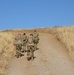 579th EN BN HHC Soldiers conduct Land Nav training