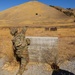 149th CBRN qualify on grenades