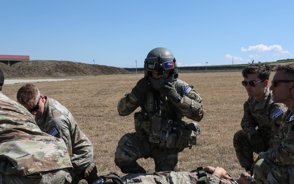 Joint MEDEVAC Training