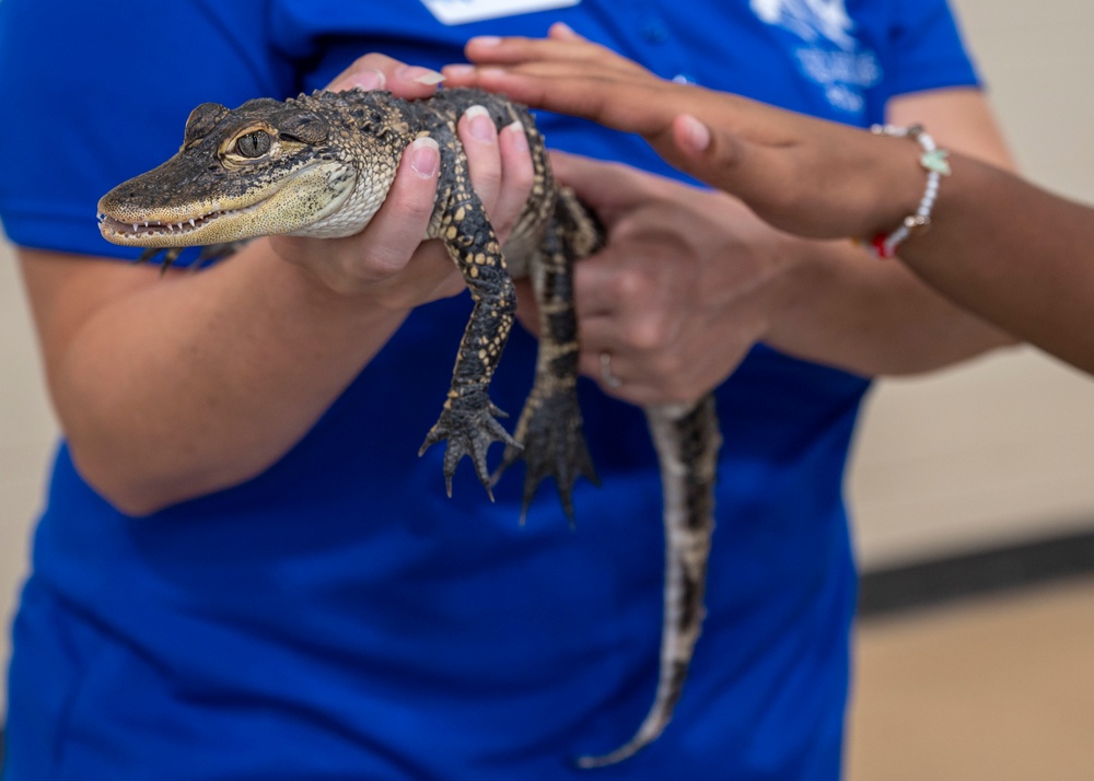 EFMP: Connecting DoD families to military, community services