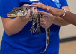 EFMP: Connecting DoD families to military, community services