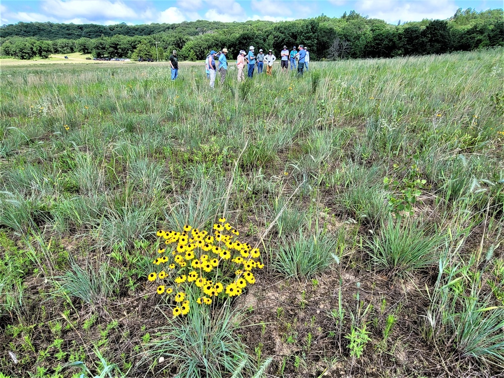 Fort McCoy supports special butterfly field day for natural resources group