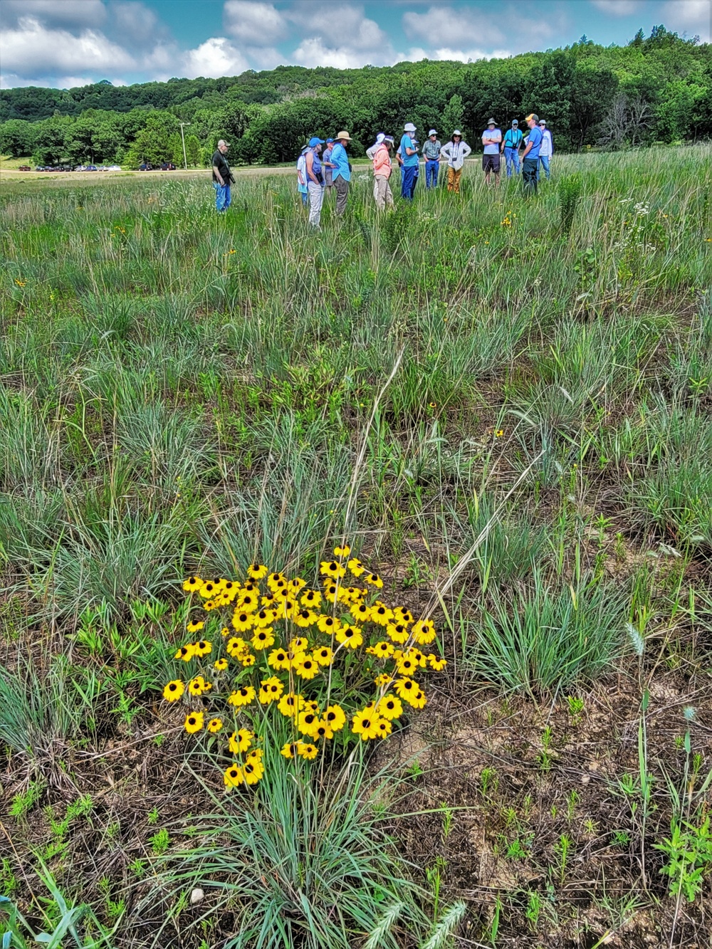 Fort McCoy supports special butterfly field day for natural resources group