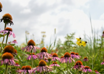 The most colorful time of year