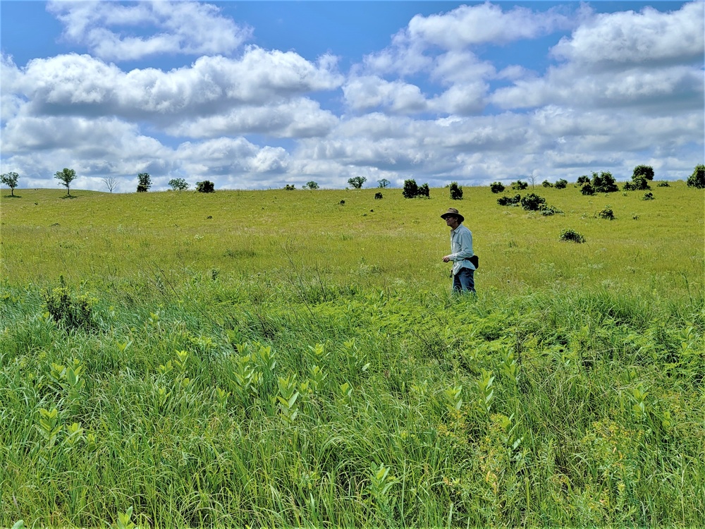 Fort McCoy supports special butterfly field day for natural resources group