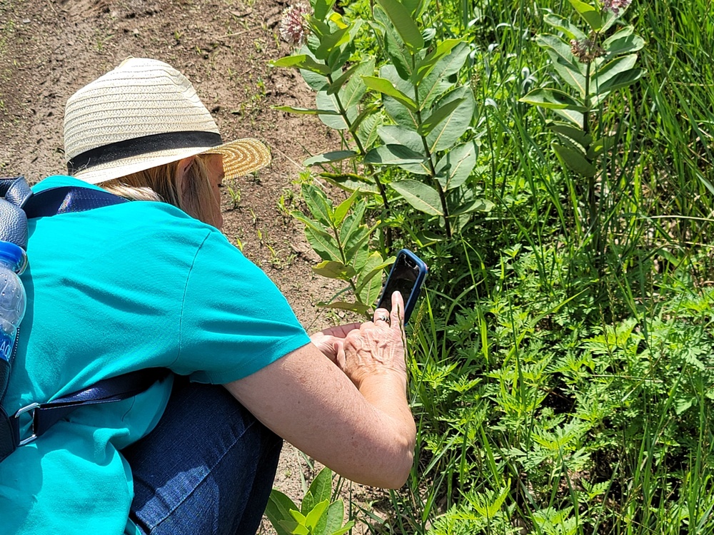 Fort McCoy supports special butterfly field day for natural resources group