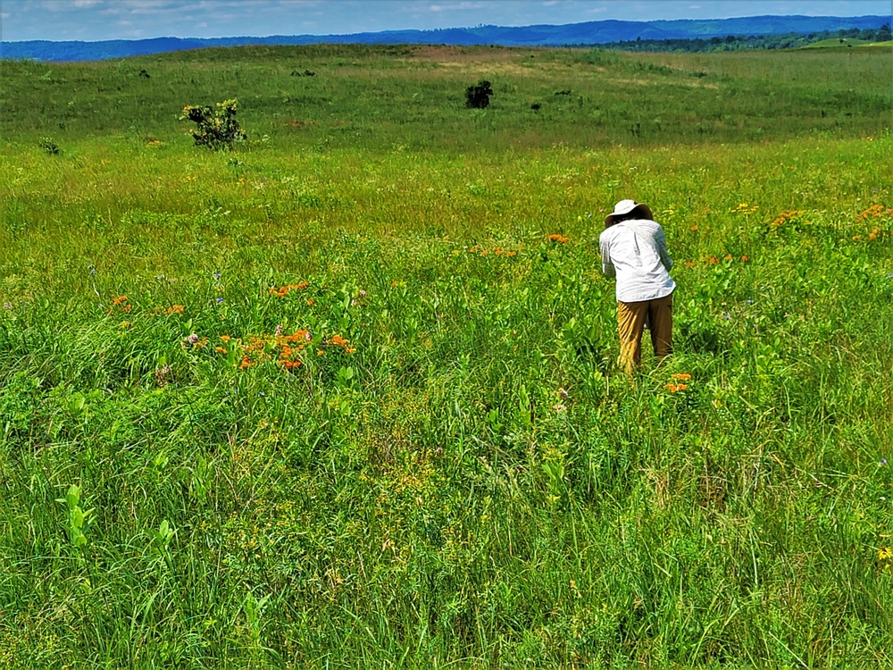 Fort McCoy supports special butterfly field day for natural resources group