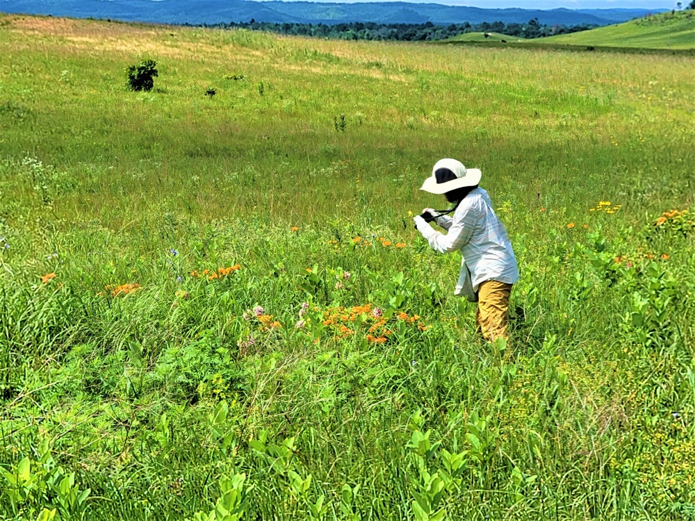 Fort McCoy supports special butterfly field day for natural resources group