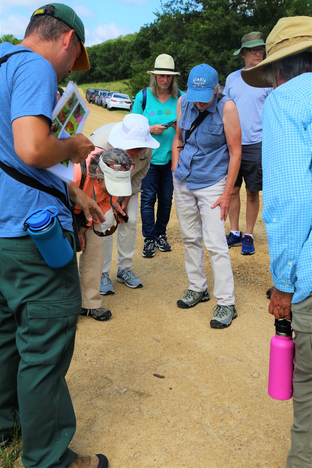 Fort McCoy supports special butterfly field day for natural resources group