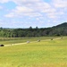 Fort McCoy supports special butterfly field day for natural resources group