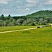 Fort McCoy supports special butterfly field day for natural resources group