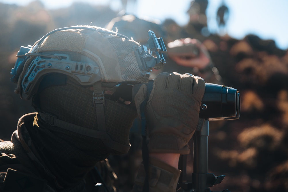 International-Joint Combined Arms JTAC Training during RIMPAC 2022 International-Joint Combined Arms JTAC Training during RIMPAC 2022