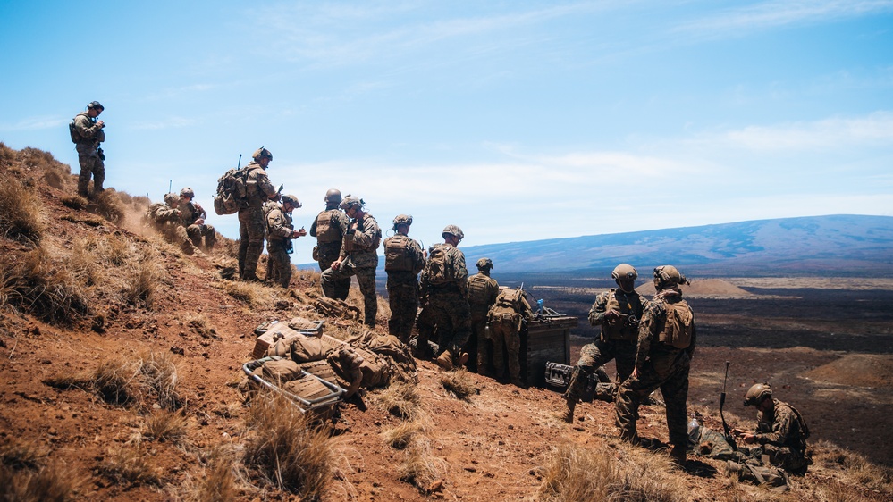 International-Joint Combined Arms JTAC Training during RIMPAC 2022 International-Joint Combined Arms JTAC Training during RIMPAC 2022
