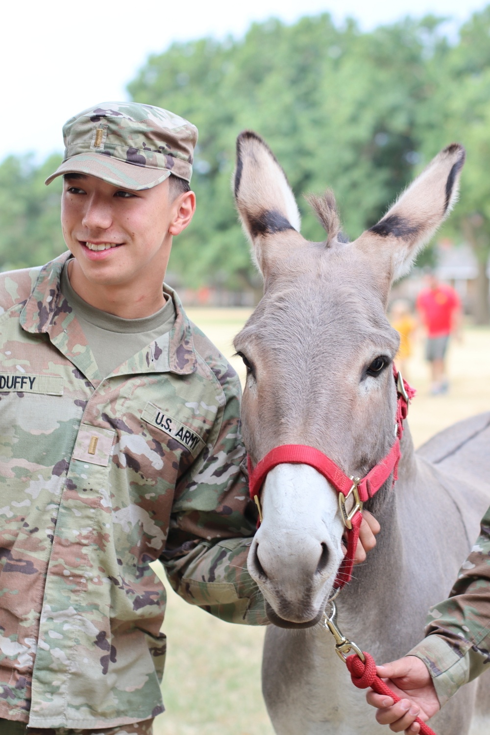 Big Deuce — The donkey with a beef