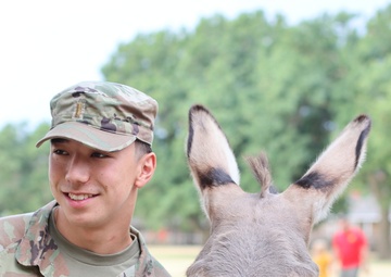 Big Deuce — The donkey with a beef