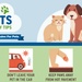 Summer’s heat can be devastating to pet’s health