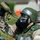 LERE 2022: Team Dover demonstrates deployment readiness LERE 2022: Team Dover demonstrates deployment readiness