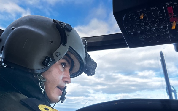 Mexican Navy's pilot