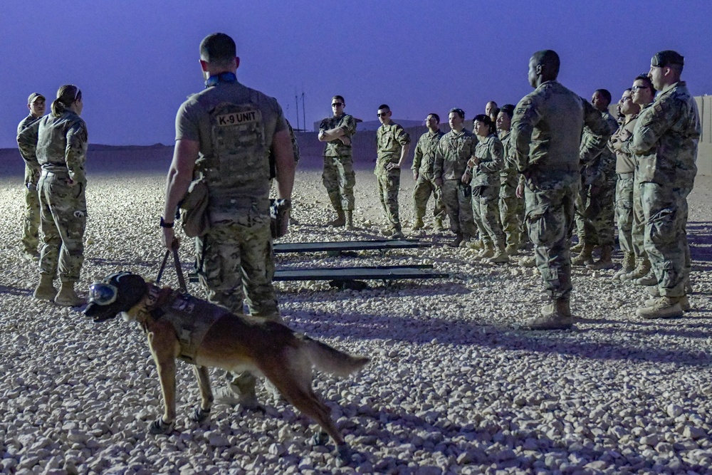 Joint force and cross-species MedEvac training