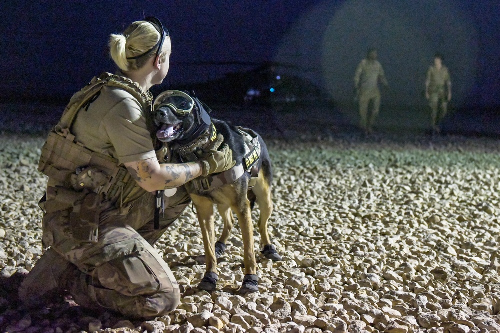 Joint force and cross-species MedEvac training