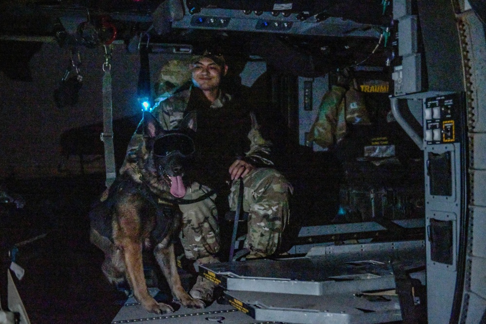 Joint force and cross-species MedEvac training