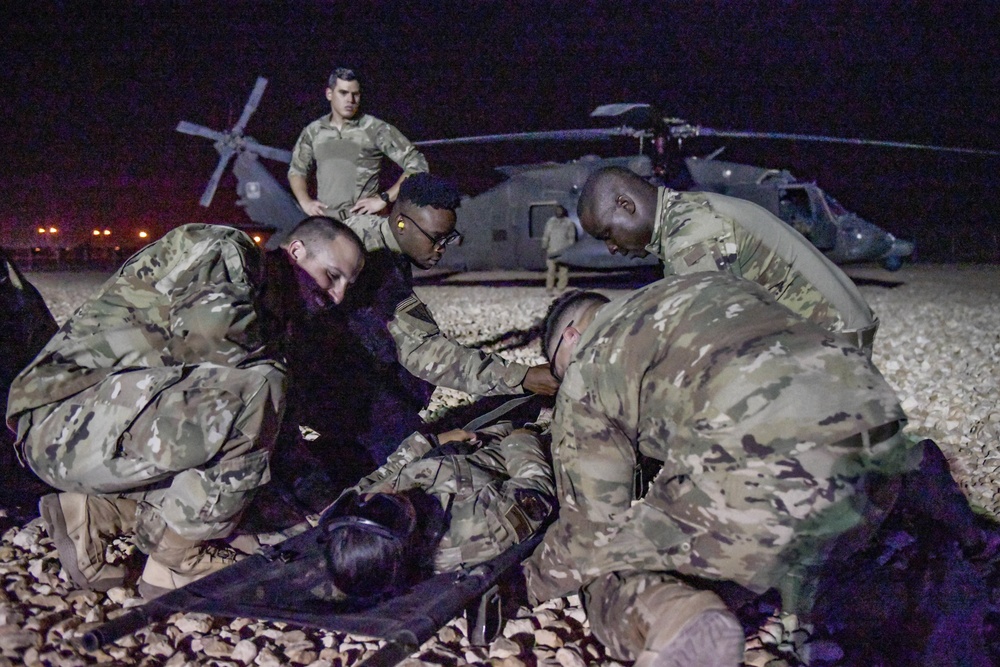 Joint force and cross-species MedEvac training