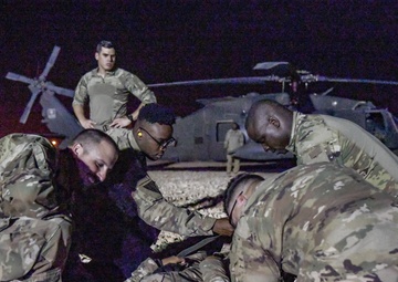 Joint force and cross-species MedEvac training