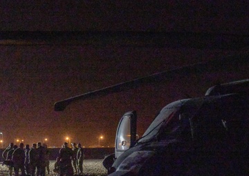 Joint force and cross-species MedEvac training