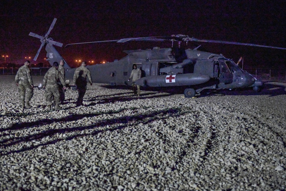 Joint force and cross-species MedEvac training