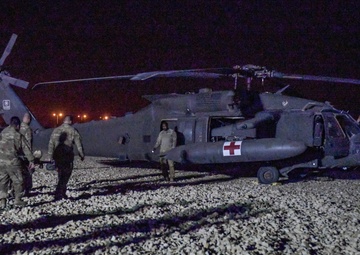 Joint force and cross-species MedEvac training