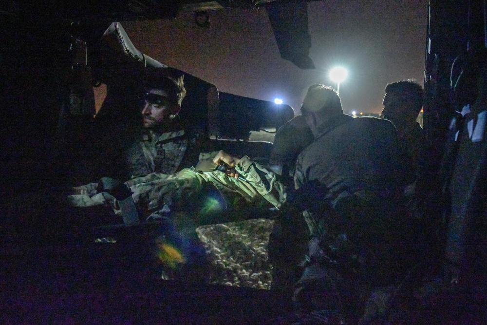 Joint force and cross-species MedEvac training