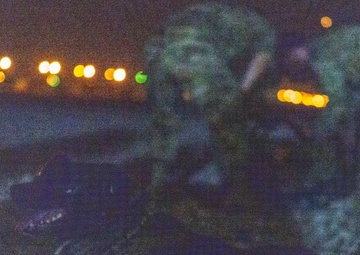 Joint force and cross-species MedEvac training