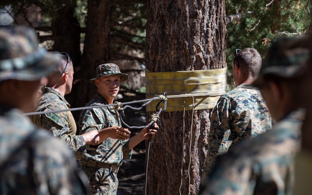 Practice Makes Perfect | U.S. Marines with 1st Battalion, 24th Marine Regiment practice rope rappelling drills at Mountain Warfare Training Center