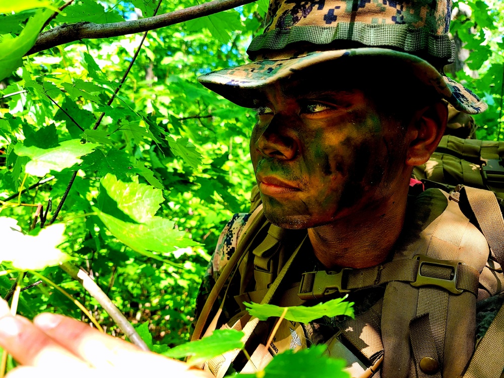 2nd Battalion, 24th Marines hold training ops at McCoy