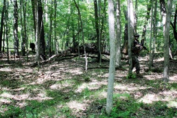 2nd Battalion, 24th Marines hold training ops at McCoy