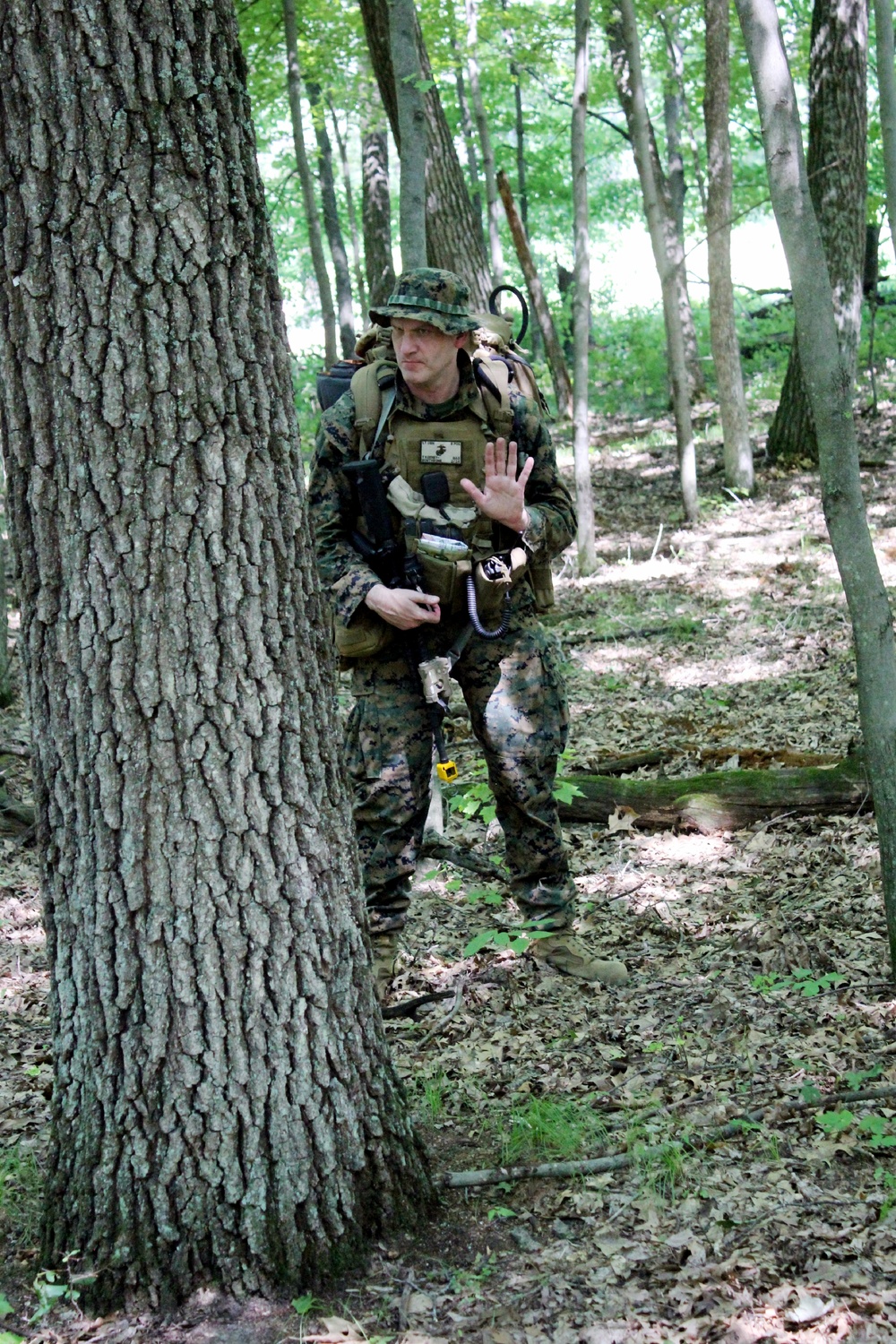 2nd Battalion, 24th Marines hold training ops at McCoy