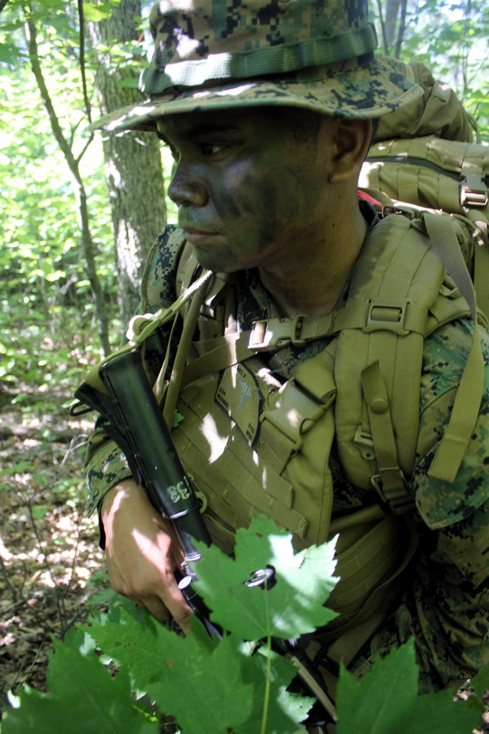 2nd Battalion, 24th Marines hold training ops at McCoy