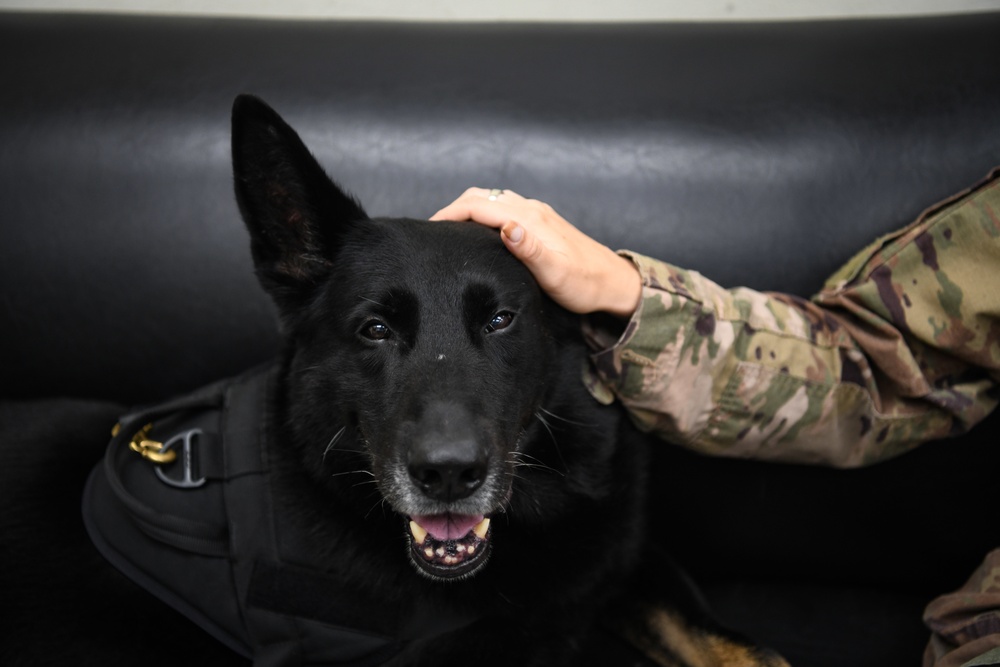 Wolf Pack renders final salute to MWD Alan for nine-year AF service