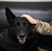 Wolf Pack renders final salute to MWD Alan for nine-year AF service