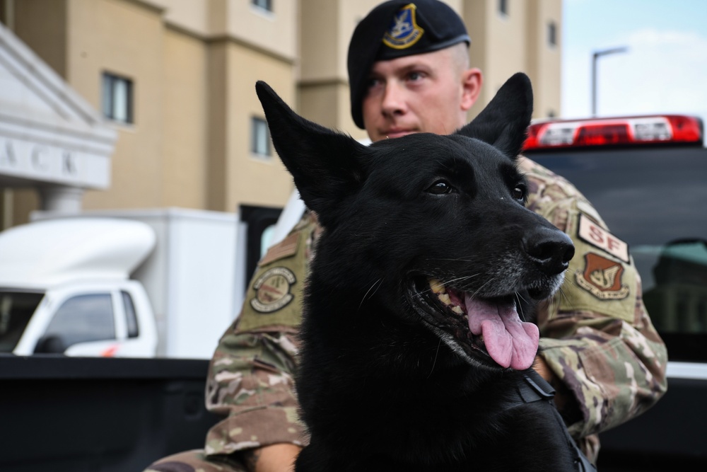 Wolf Pack renders final salute to MWD Alan for nine-year AF service