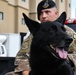 Wolf Pack renders final salute to MWD Alan for nine-year AF service