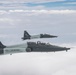 ENJJPT operates T-38s to conduct formations