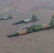 ENJJPT operates T-38s to conduct formations