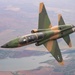 ENJJPT operates T-38s to conduct formations