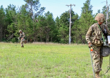 Engineers Practice Mine Clearing